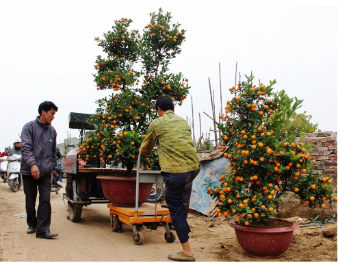 在农民生活中使用叉车时，该实用程序